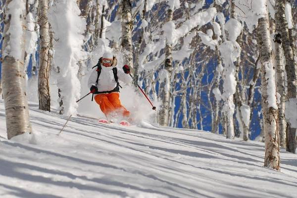 Hokkaido, Nhật Bản: Đây là địa điểm lý tưởng cho những ai yêu thích các môn thể thao mùa đông. Đặc biệt, tuyết ở đây rất khô và nhẹ, tạo ra thiên đường cho trượt tuyết và trượt ván. Sau một ngày vui chơi, du khách có thể ngâm mình trong suối nước nóng, thưởng thức rượu sake và các món ăn truyền thống. Ảnh: Adrex.
