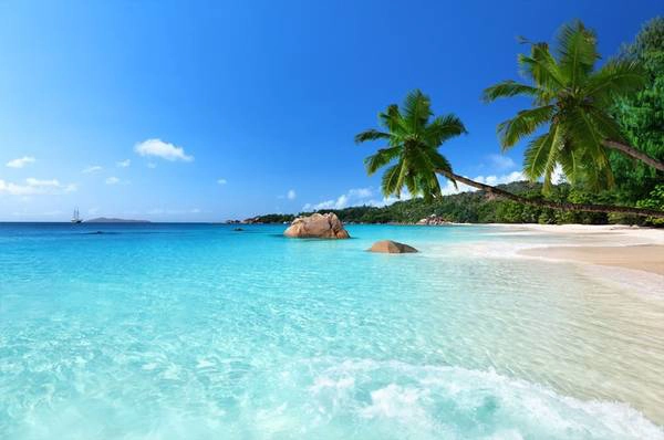 Seychelles: Nằm ngoài khơi Kenya, quần đảo Seychelles có 115 hòn đảo trù phú. Sáu công viên biển quốc gia được bảo vệ nghiêm ngặt ở Seychelles là nhà của những loài rùa, cá heo quý hiếm, cùng hàng nghìn loài cá. Đến với khu bảo tồn Vallée de Mai, du khách sẽ có cảm tưởng như lạc vào thời tiền sử. Ảnh: National Geographic.​​​
