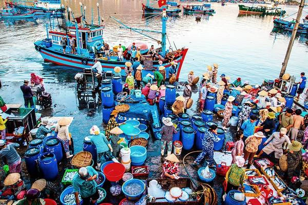 Nhộn nhịp trên một cảng cá khi thuyền về. Ảnh: Wolf/Picfair. Nhộn nhịp trên một cảng cá khi thuyền về. Ảnh: Wolf/Picfair.
