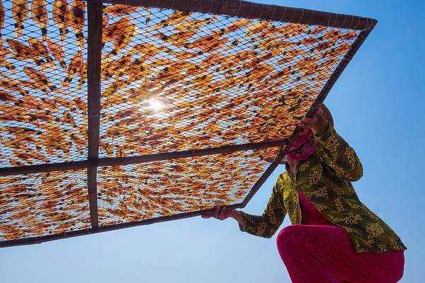 Phơi hải sản trên đảo Nam Du, Kiên Giang. Ảnh: JetHuynh/Picfair. Phơi hải sản trên đảo Nam Du, Kiên Giang. Ảnh: JetHuynh/Picfair.