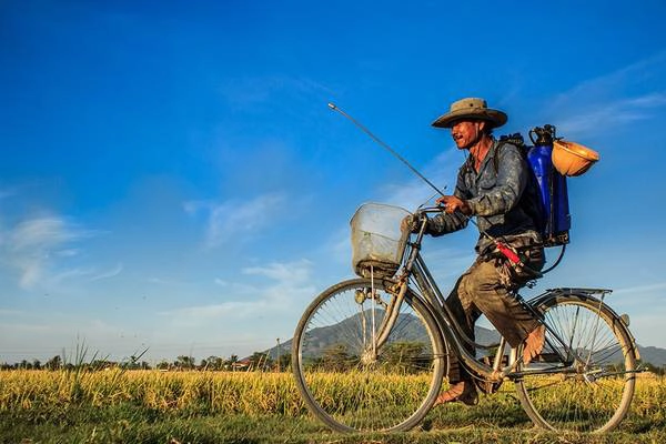 Người đàn ông trên chiếc xe đạp trở về nhà trong ráng chiều sau một ngày lao động trên cánh đồng. Ảnh: Wolf/Picfair. Người đàn ông trên chiếc xe đạp trở về nhà trong ráng chiều sau một ngày lao động trên cánh đồng. Ảnh: Wolf/Picfair.