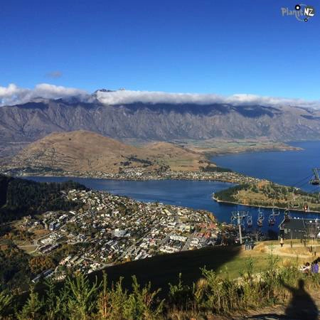 20.  New Zealand sẽ mang lại cho bạn một kỳ nghỉ đáng nhớ, bởi những điều bất ngờ đáng yêu mà nó mang đến. (Ảnh planitnz)