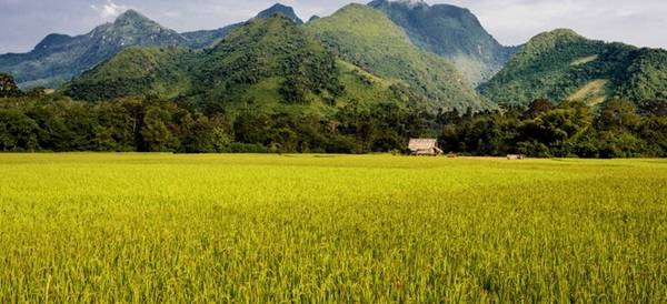 Nong Khiaw, Lào: Nằm ở phía bắc Luang Prabang, trên bờ sông Nam Ou, ngôi làng nhỏ bé này là một trong những nơi tuyệt nhất để nghỉ ngơi, thư giãn ở Lào. Bạn có thể nằm trên võng hóng gió, thưởng thức một chai bia mát lạnh và ngắm hoàng hôn lộng lẫy. Nong Khiaw, Lào: Nằm ở phía bắc Luang Prabang, trên bờ sông Nam Ou, ngôi làng nhỏ bé này là một trong những nơi tuyệt nhất để nghỉ ngơi, thư giãn ở Lào. Bạn có thể nằm trên võng hóng gió, thưởng thức một chai bia mát lạnh và ngắm hoàng hôn lộng lẫy.