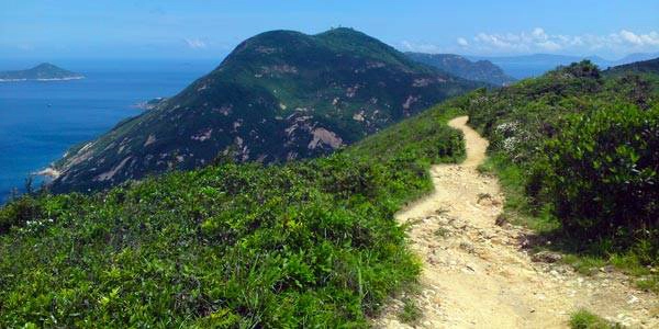 20-ly-do-du-lich-hong-kong-ivivu-4