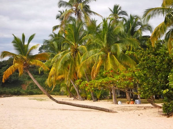 20 sự thật thú vị về Madagascar 20 sự thật thú vị về Madagascar