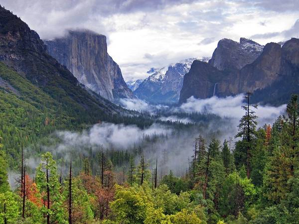 Công viên quốc gia Yosemite, California. Bên trong khu vực rộng hơn 1.200 m2 này có những thác nước hùng vĩ, thung lũng, đồng cỏ, cổ tùng đại thụ... Hồi tháng 8, Tổng thống Mỹ Obama đã đưa cả gia đình tới đây nhân dịp kỷ niệm 100 năm thành lập công viên. Ảnh: Getty.