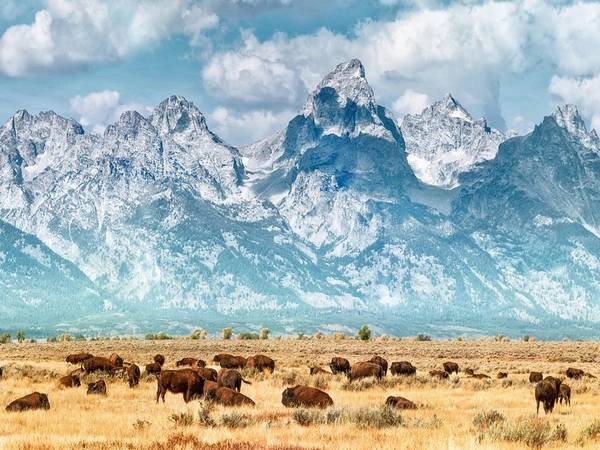 Công viên quốc gia Grand Teton với đỉnh núi cùng tên cao nhất công viên - 4.200 m, thuộc bang Wyoming. Ảnh: Getty.