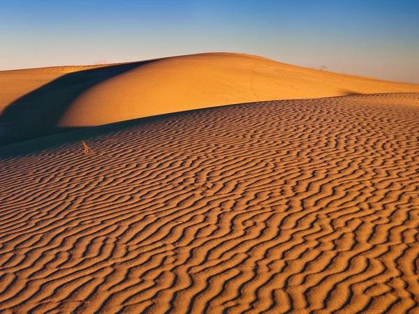 Đồi cát Monahans, Texas. Ảnh: Getty.