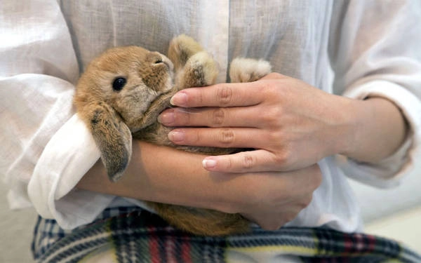 Ảnh: Alamy