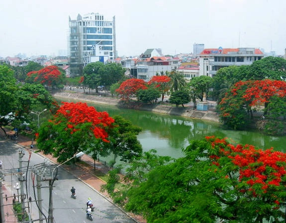 Du lịch Hải Phòng - Đến Hải Phòng vào mùa hoa phượng nở để cảm nhận hết vẻ đẹp của thành phố. Ảnh jetstar.