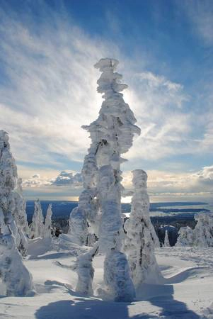Rừng cây bị đông cứng bởi băng tuyết tạo thành những hình dáng kỳ quái trên núi Seymour, British Columbia. Rừng cây bị đông cứng bởi băng tuyết tạo thành những hình dáng kỳ quái trên núi Seymour, British Columbia.
