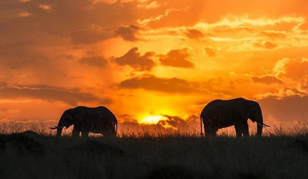 6. Masai Mara, Kenya