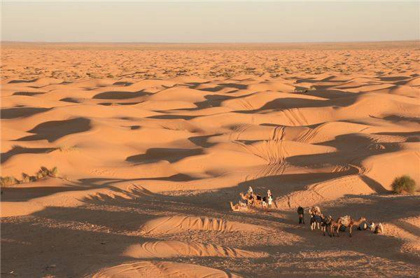 21. …và khám phá sa mạc Sahara bằng lạc đà. Ảnh: Flickr: veroyama