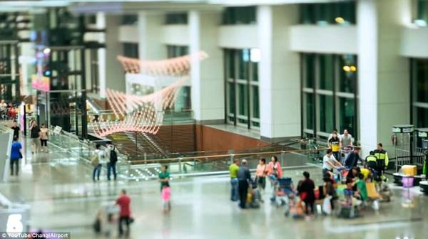 Sân bay Changi tiếp đón hơn 145.000 lượt khách mỗi ngày, đã giành thêm một giải thưởng Skytrax World Airport Awards cho sân bay tốt nhất thế giới hồi tháng 3.