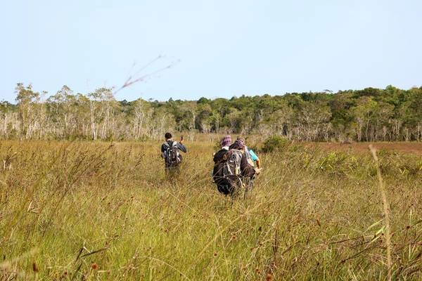 Cách TP. HCM khoảng 160 km, rừng Bưng Thị là điểm đến cuối tuần thích hợp cho những người ưa khám phá. Cần chuẩn bị lều, võng, đồ ăn khô, nước uống cho chuyến đi. Tuyệt đối không sử dụng lửa và xả rác trong khu vực này. Khám phá thiên nhiên, hòa mình với thiên nhiên và cũng trả lại cho thiên nhiên vẻ hoang sơ vốn có. Cách TP. HCM khoảng 160 km, rừng Bưng Thị là điểm đến cuối tuần thích hợp cho những người ưa khám phá. Cần chuẩn bị lều, võng, đồ ăn khô, nước uống cho chuyến đi. Tuyệt đối không sử dụng lửa và xả rác trong khu vực này. Khám phá thiên nhiên, hòa mình với thiên nhiên và cũng trả lại cho thiên nhiên vẻ hoang sơ vốn có.