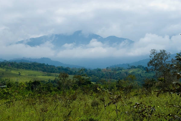 Du lich Peru - Chỉ cách thành phố Lima một giờ ngồi máy bay, bạn sẽ bắt gặp “thiên đường” tuyệt đẹp của Tarapoto.