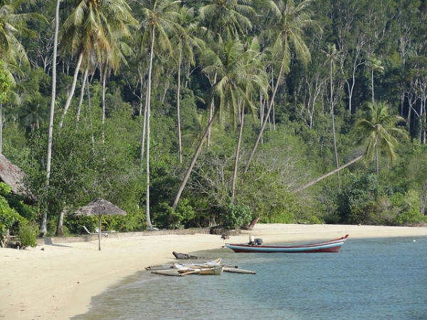 Đảo Sumatra, Indonesia. 