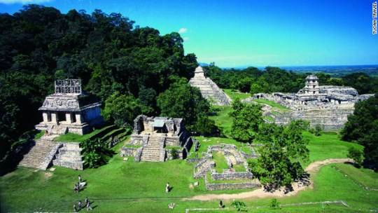 Rừng kim tự tháp, Palenque, Mexico