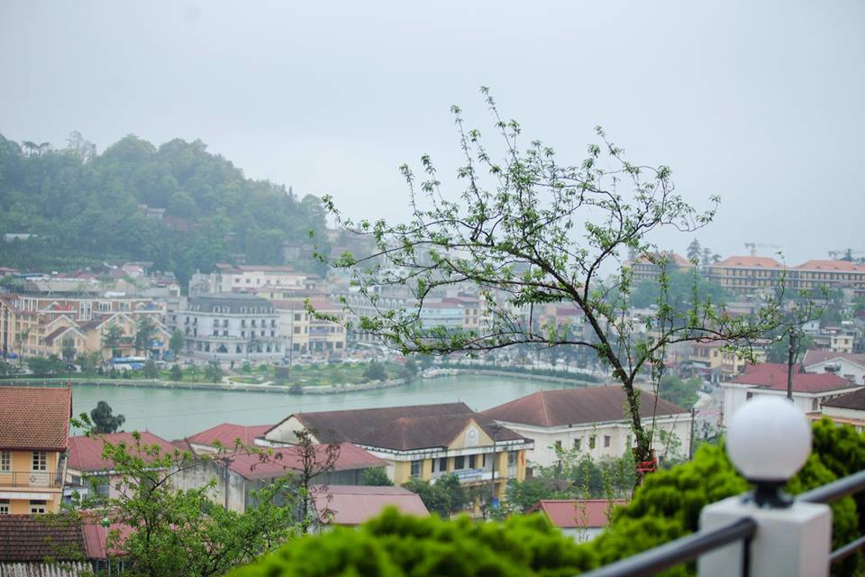 khach-san-sapa-Village-ivivu-12