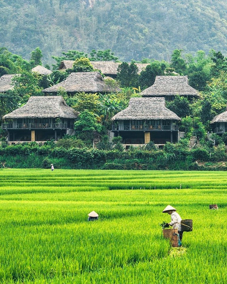 Mai-Chau-Ecolodge-ivivu-17