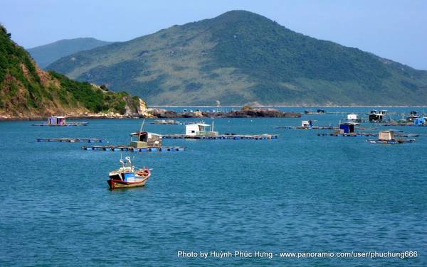 Khu nuôi tôm ở Nhất Tự Sơn. Ảnh: Huỳnh Phúc Hưng Khu nuôi tôm ở Nhất Tự Sơn. Ảnh: Huỳnh Phúc Hưng