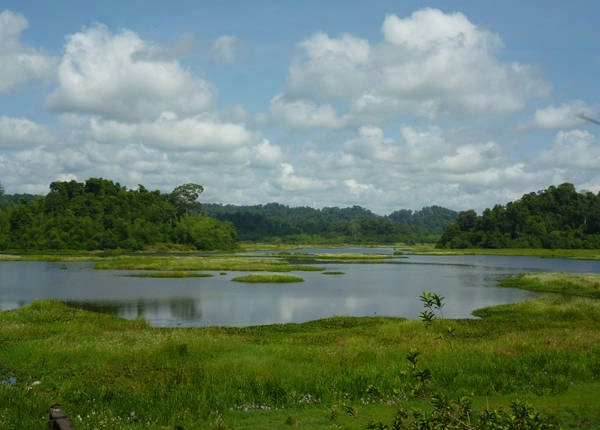 Bàu Sấu, điểm tham quan phổ biến ở Cát Tiên. Ảnh: Xuân Lộc. Bàu Sấu, điểm tham quan phổ biến ở Cát Tiên. Ảnh: Xuân Lộc.