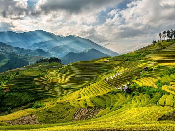 Sa Pa: Với những ruộng lúa bậc thang óng ả, khí hậu mát mẻ và nền văn hóa đặc sắc, Sa Pa là một trong những điểm đến hút khách ở Việt Nam. Sa Pa: Với những ruộng lúa bậc thang óng ả, khí hậu mát mẻ và nền văn hóa đặc sắc, Sa Pa là một trong những điểm đến hút khách ở Việt Nam.