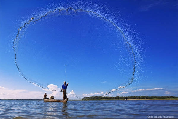 Tác phẩm "Tung chài" - Trần Công