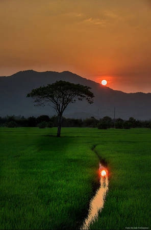 Tác phẩm "Yên bình" - Nguyễn Anh Phương