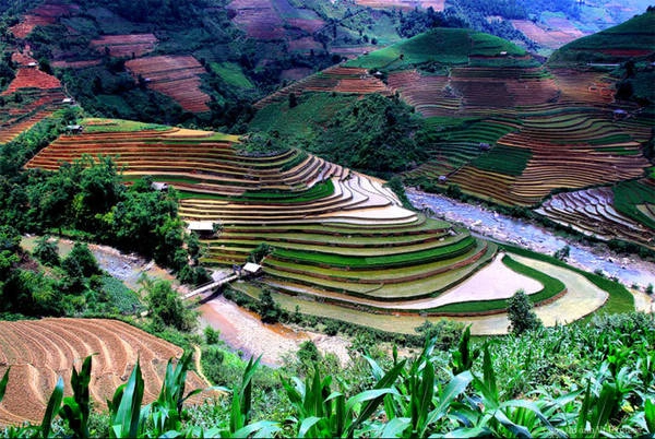 Tác phẩm "Sắc màu" - Cao Quang Trung