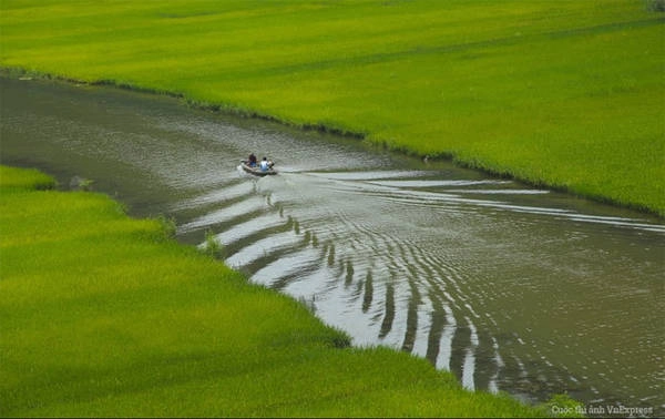 Tác phẩm "Xuôi dòng" - Nguyễn Hoàng Thanh