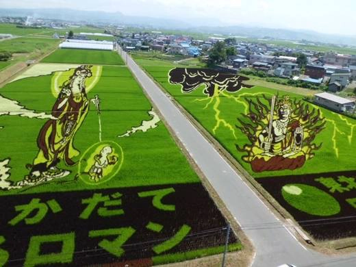 Nghệ thuật trên đồng lúa là một loại hình nghệ thuật được tạo ra bằng cách lựa chọn và trồng các loại cây lúa khác nhau để tạo ra một bức tranh nghệ thuật khổng lồ. Làng Inakadate ở tỉnh Aomori khởi xướng loại hình nghệ thuật này vào năm 1993 để tái sinh ngôi làng và hiện nay loại hình này được áp dụng ở gần 100 nơi khác. 30-dieu-cuc-ngo-nghinh-gan-nhu-chi-co-o-nhat-ban-ivivu-18