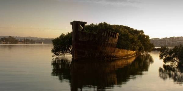 SS Ayrfield, vịnh Homebush, Australia