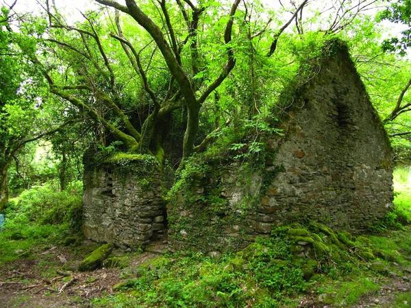  Đường mòn Kerry giữa Sneem và Kenmare, Ireland