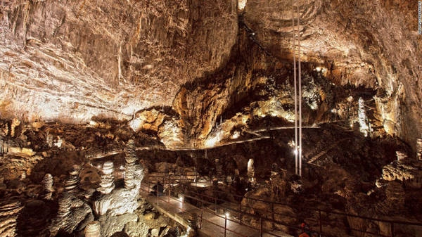 Grotta Gigante, Trieste: Grotta Gigante là hang động khổng lồ cao 107m, dài 130m và rộng 65m với nhiều nhũ đá bên trong. Hang động được khám phá lần đầu tiên vào năm 1840 và mở cửa cho du khách từ năm 1908. Grotta Gigante, Trieste: Grotta Gigante là hang động khổng lồ cao 107m, dài 130m và rộng 65m với nhiều nhũ đá bên trong. Hang động được khám phá lần đầu tiên vào năm 1840 và mở cửa cho du khách từ năm 1908.
