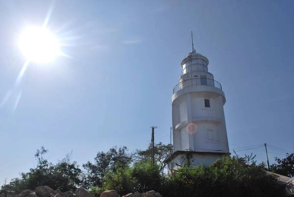 Ảnh: vms-south Ảnh: vms-south