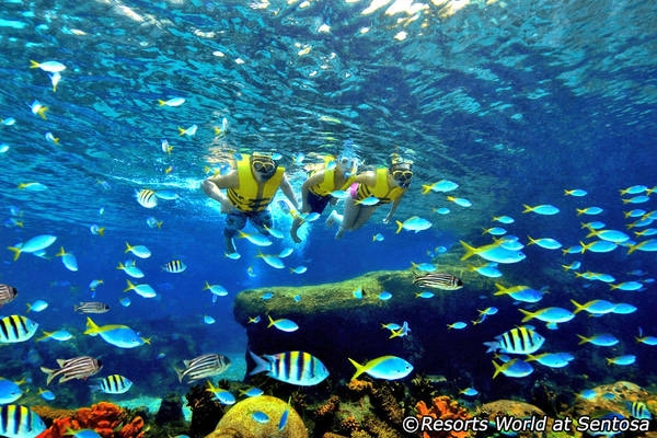 Ảnh: singapore-guide.com