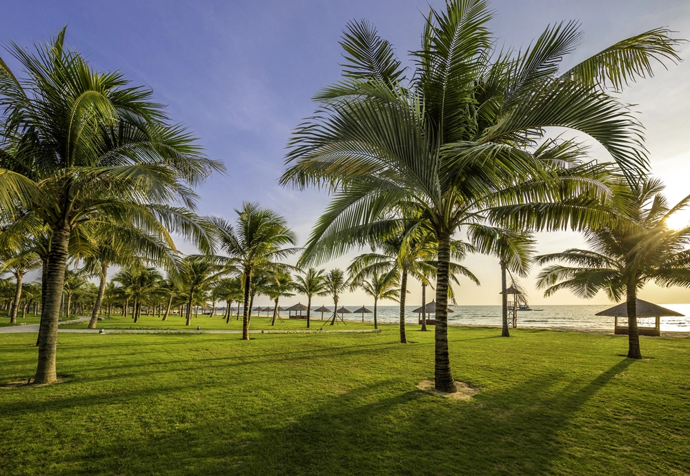 vinoasis-phu-quoc-ivivu-18