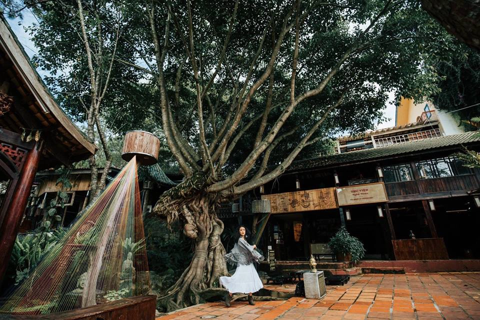 Monet-Garden-Da-Lat-ivivu-17