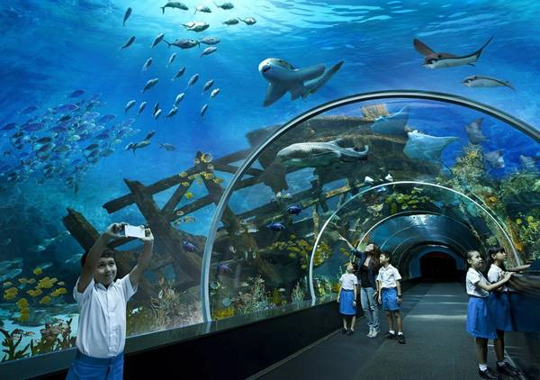Genting-Jurong-singapore-ivivu-5