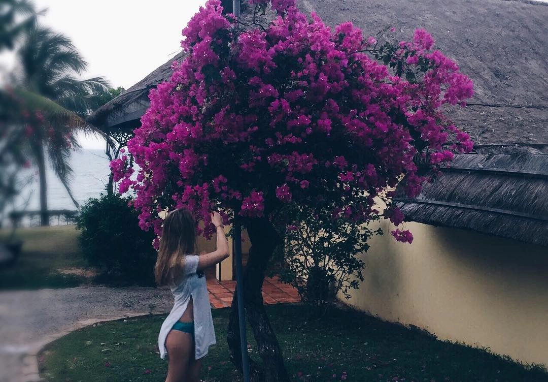 Ảnh: __pernatiy__
