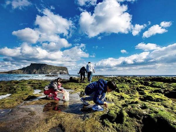 Đảo Jeju với bãi biển và cảnh quan thiên nhiên phong phú cũng là địa điểm lý tưởng cho một chuyến du lịch mùa thu đến Hàn Quốc. Ảnh: Unitar. Đảo Jeju với bãi biển và cảnh quan thiên nhiên phong phú cũng là địa điểm lý tưởng cho một chuyến du lịch mùa thu đến Hàn Quốc. Ảnh: Unitar.