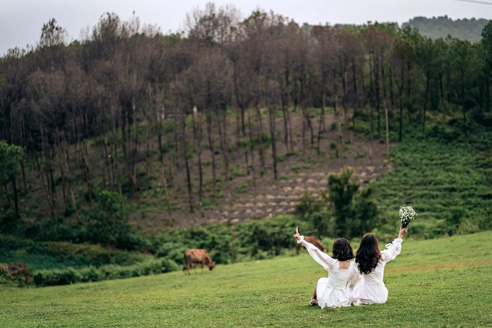 Cách Thiên An không xa, đồi Ngọc Linh - xã Thủy Bằng toát lên vẻ hoang sơ, hùng vĩ của thiên nhiên. Những thảm cỏ xanh mướt, thỉnh thoảng có vài con bò gặm cỏ, xa xa là hàng thông vươn mình trong nắng, giúp bạn thực hiện những bộ hình "ảo tung chảo". Tại đây, bạn cũng có thể tổ chức picnic, cắm trại cùng bạn bè, người thân. Ảnh: Trường Bùi.