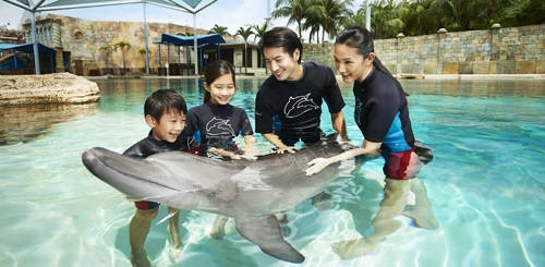 Địa chỉ: Dolphin Island, 8 Sentosa Gateway, Sentosa. Ảnh: STB Địa chỉ: Dolphin Island, 8 Sentosa Gateway, Sentosa. Ảnh: STB