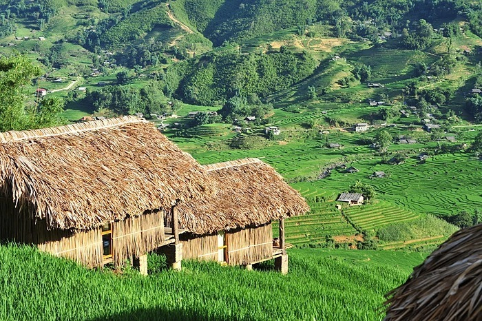 Eco Palms House  Nằm trên sườn đồi tại bản Lao Chải, homestay đặc trưng với tầm nhìn ra Hoàng Liên Sơn và thung lũng Mường Hoa. Ở đây có 8 nhà gỗ được thiết kế giống với nhà ở truyền thống của người dân tộc ở Sa Pa. Vào mùa lúa, nơi đây bao quanh bởi một màu xanh dịu mát, hiền hòa.  Khi đến homestay, du khách có thể trải nghiệm không gian bao la của đất trời, đạp xe và chụp ảnh với khung cảnh núi đồi trùng điệp hay trị liệu bằng tắm thảo dược. Ngoài ra, bạn cũng có thể tham gia làm vườn với người dân, trồng và thu hoạch rau, quả sạch. Ảnh: Eco Palms House.