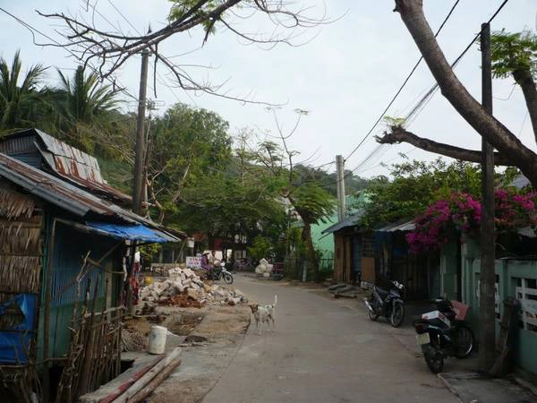 Con đường làng quanh đảo. Ảnh: Lê Hữu Uy Con đường làng quanh đảo. Ảnh: Lê Hữu Uy