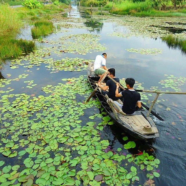 4-khu-rung-nguyen-sinh-dep-noi-tieng-o-viet-nam-ivivu-7