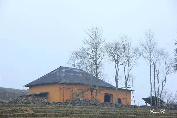 12h: Ăn trưa tại Y Tý 13h: Tham quan bản của bà con dân tộc Hà Nhì, các bản Lao Chải, Sín Chải, chiêm ngưỡng những ngôi nhà trình tường (ảnh) như những cây nấm mọc giữa thung lũng, mát về mùa hè, ấm vào mùa đông.