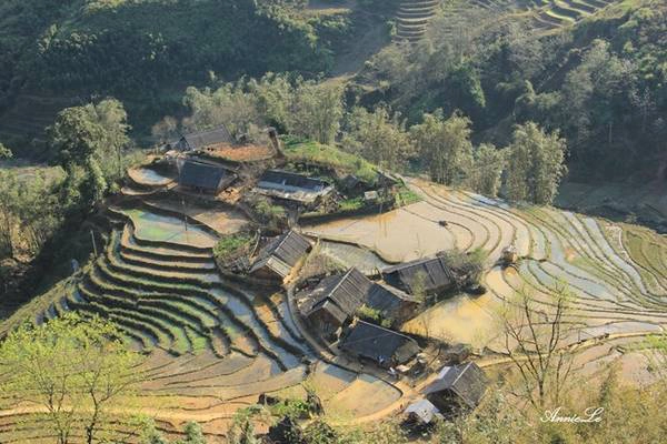 12h: Ăn trưa ở thị trấn Sa Pa.  13h: Tham quan nhà thờ Đá, khám phá thị trấn. 16h: Di chuyển đến bản Tả Van, cách trung tâm thị trấn 7 km. Trên đường đi, du khách có dịp chiêm ngưỡng vẻ đẹp từ những thửa ruộng bậc thang ở thung lũng Mường Hoa (ảnh).