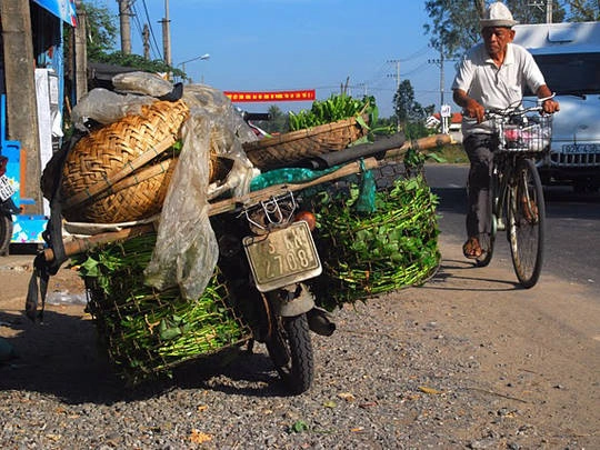 Phong cảnh trên đường được Nathan ghi lại 